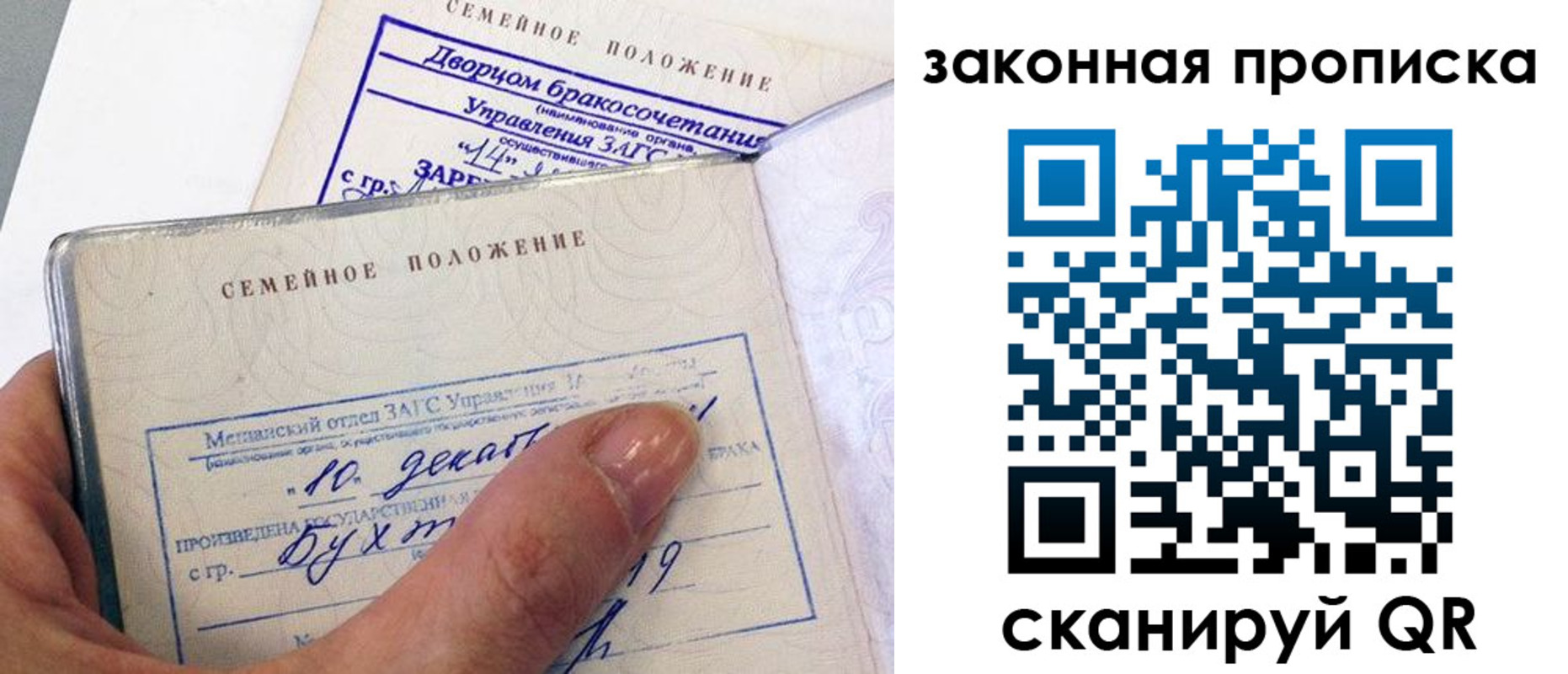 прописка поиск в Светогорске
